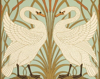 Swan wallpaper | Etsy