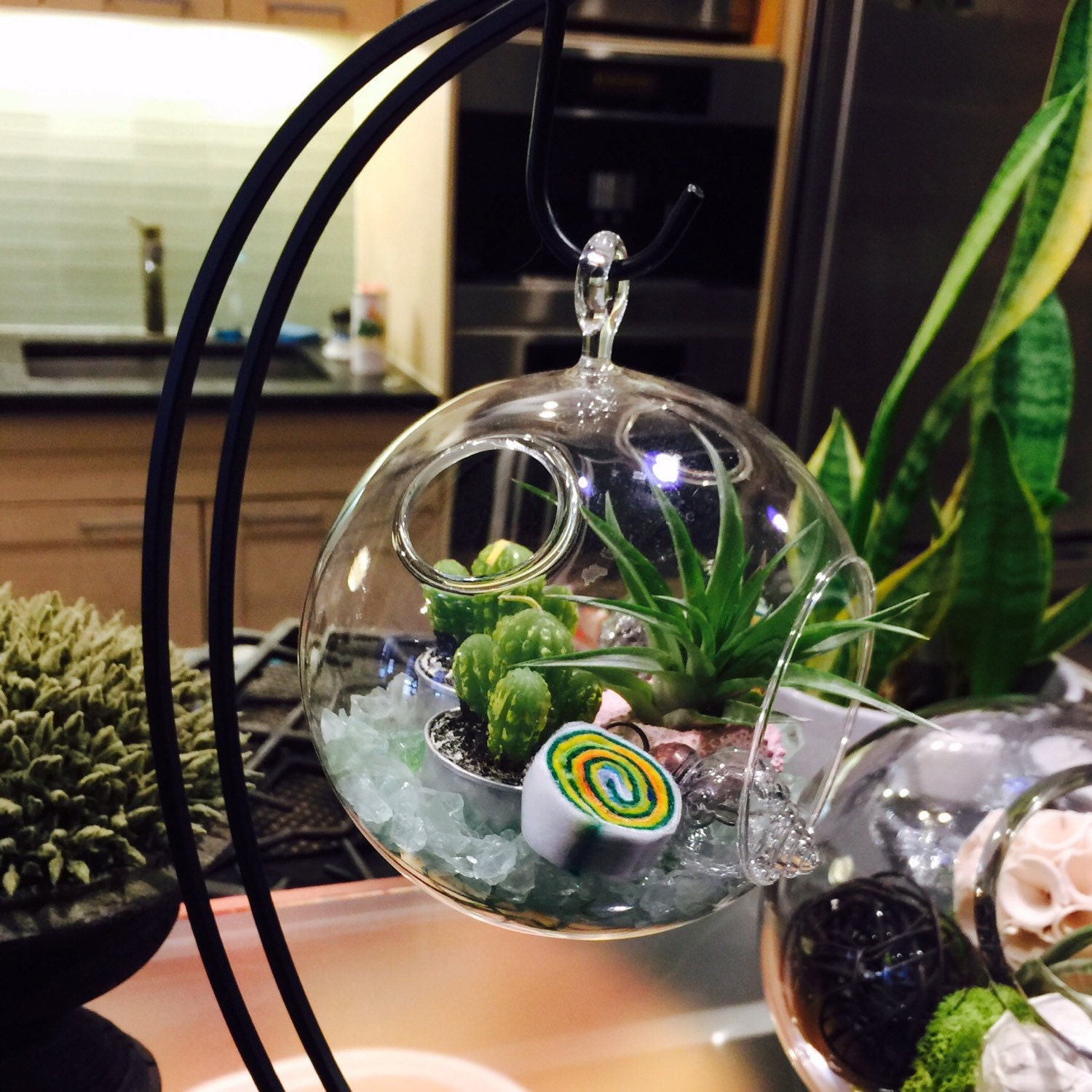 Hanging Terrarium on Stand by MushiDesigns by MushiDesigns