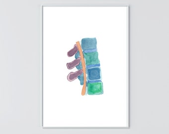 Vertebrae Art Print - Vertebrae Art - Spine Art Print - Chiropractic Spine Print - Chiropractic Art Print - Chiropractor Gift - Anatomy