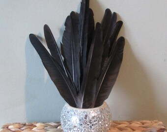 Black Crow Feathers