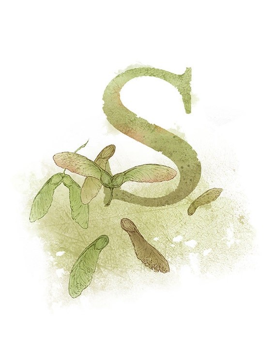 letter s samara printable 85 x 11 nature alphabet art