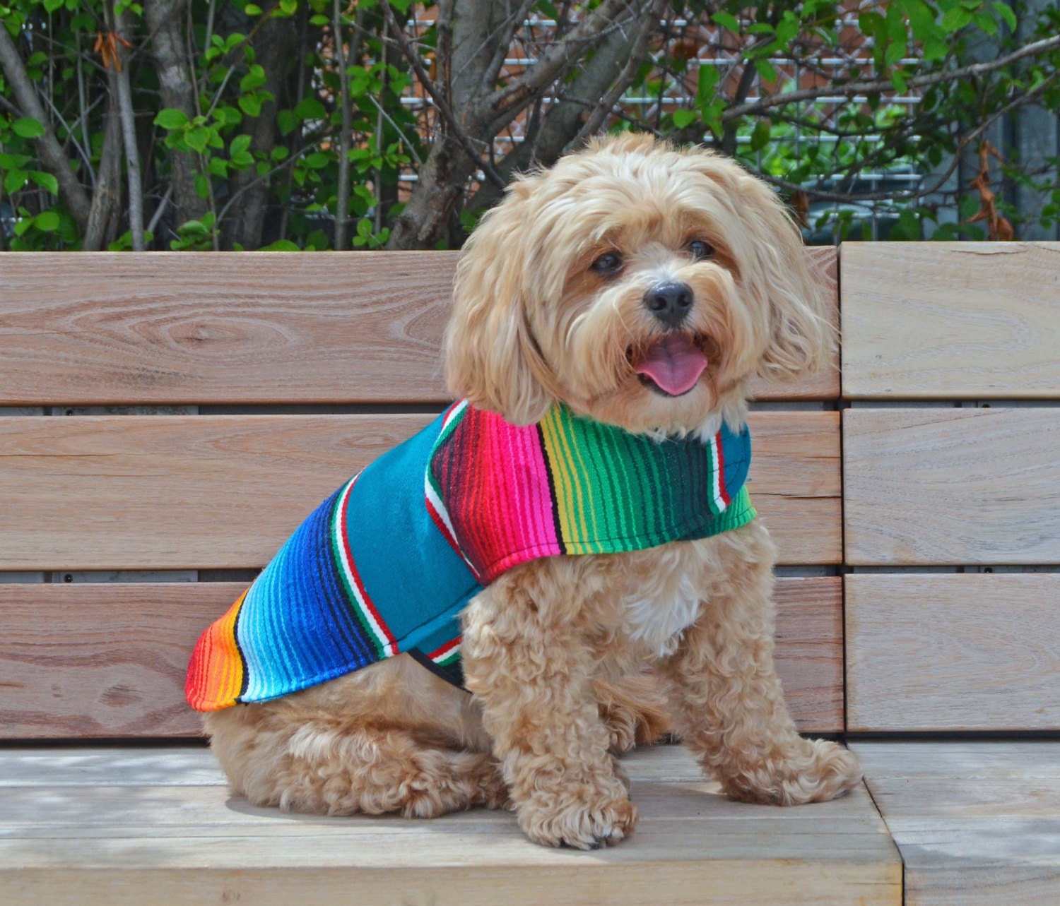 Dog Clothes Handmade Dog Apparel From Authentic Mexican