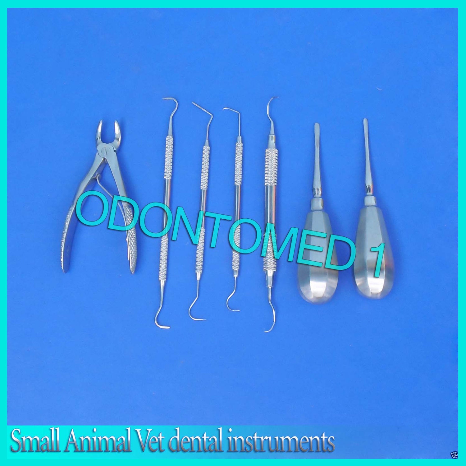 Small Animal Vet dental instruments 8 pieces by Odontomed2011