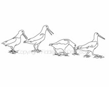 Popular items for oystercatchers on Etsy