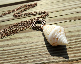 Florida Cone Shell Necklace // Copper Seashell Necklace // Copper Beach Jewelry