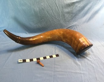 18th Century Bulk Storage Horn
