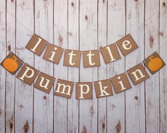Little pumpkin baby shower, little pumpkin banner, little pumpkin baby shower banner,little pumpkin baby shower decorations,fall baby shower