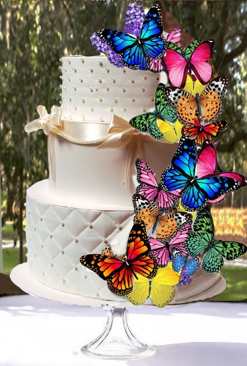 EDIBLE BUTTERFLIES Multi Color Assortment Butterfly Cake