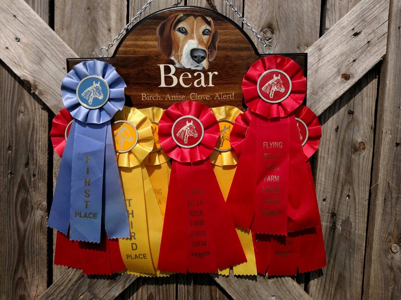 Dog show portrait Ribbon Display