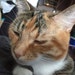 Circe