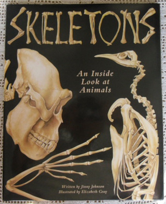 Vintage Book Skeletons An Inside Look At Animals Jinny