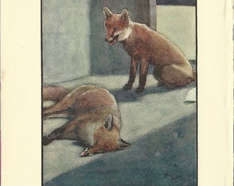 Fox Wall Art fox artwork | etsy Fox Wall Art fox artwork | etsy