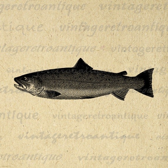 Digital Image Trout Printable Fish Graphic by VintageRetroAntique