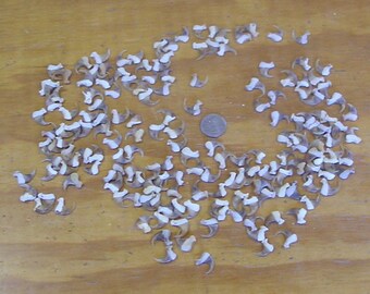 175 Real Kansas Bobcat Claws.