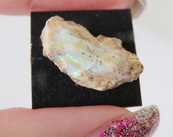 Vintage Mexican Fire Opal in Display Case Loose Gemstone great Collection