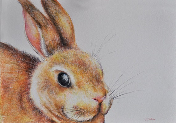 Items similar to Original Drawing, Colored Pencil Rabbit, Cute Bunny ...
