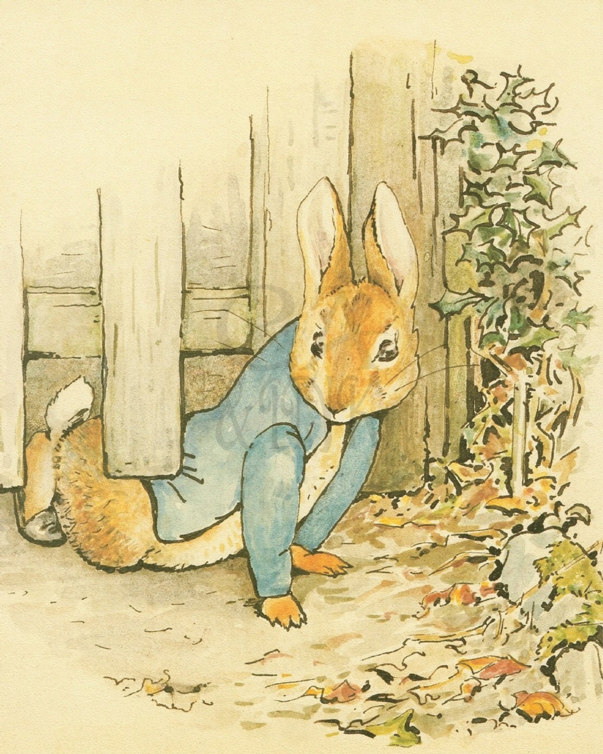 PETER RABBIT Wall Art Peter Rabbit Prints Boys Nursery
