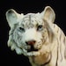 white tiger figurines