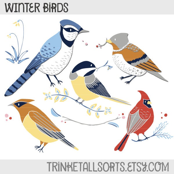 winter birds clipart - photo #15