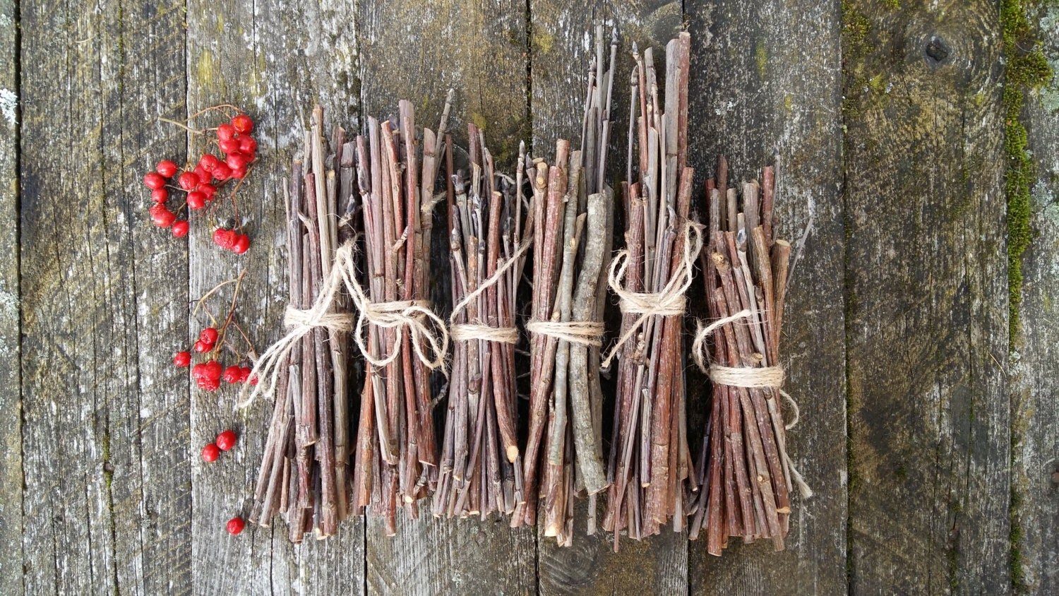 Rowan hout stokken mountain ash tree wands tak door goodieshill
