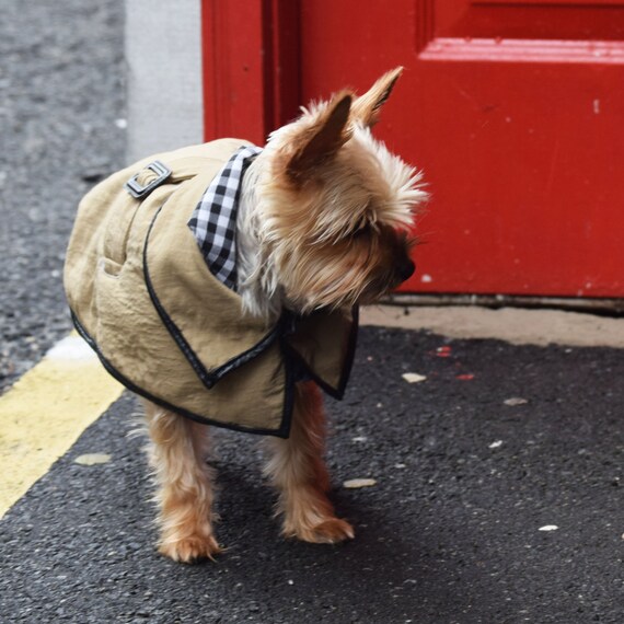 The Dog Trench Coat