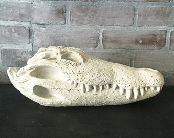 ANY COLOR Alligator Skull Sculpture / Crocodile Skull Replica / Faux Taxidermy Curiosity / Teeth / Desk Decor / Animal Head / Florida Gator