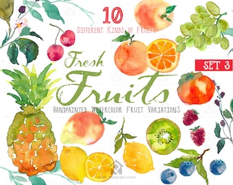 Fruits watercolor clipart - Watercolor Fruit, Clip Art, instant download, fruit clipart, fruit, watercolor fruit- Fresh Fruits (Set 3)