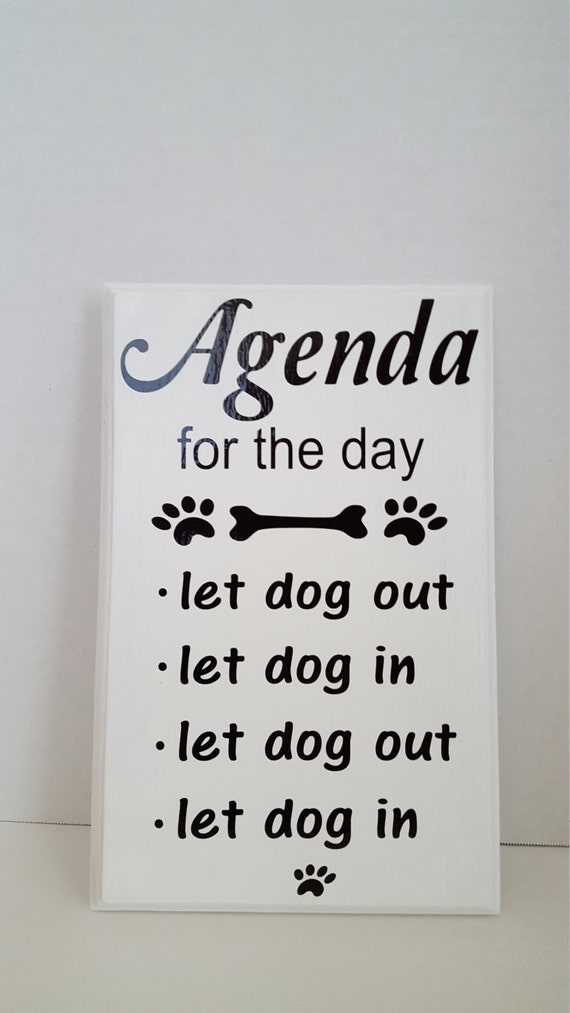 Agenda for the day...let dog in let dog out
