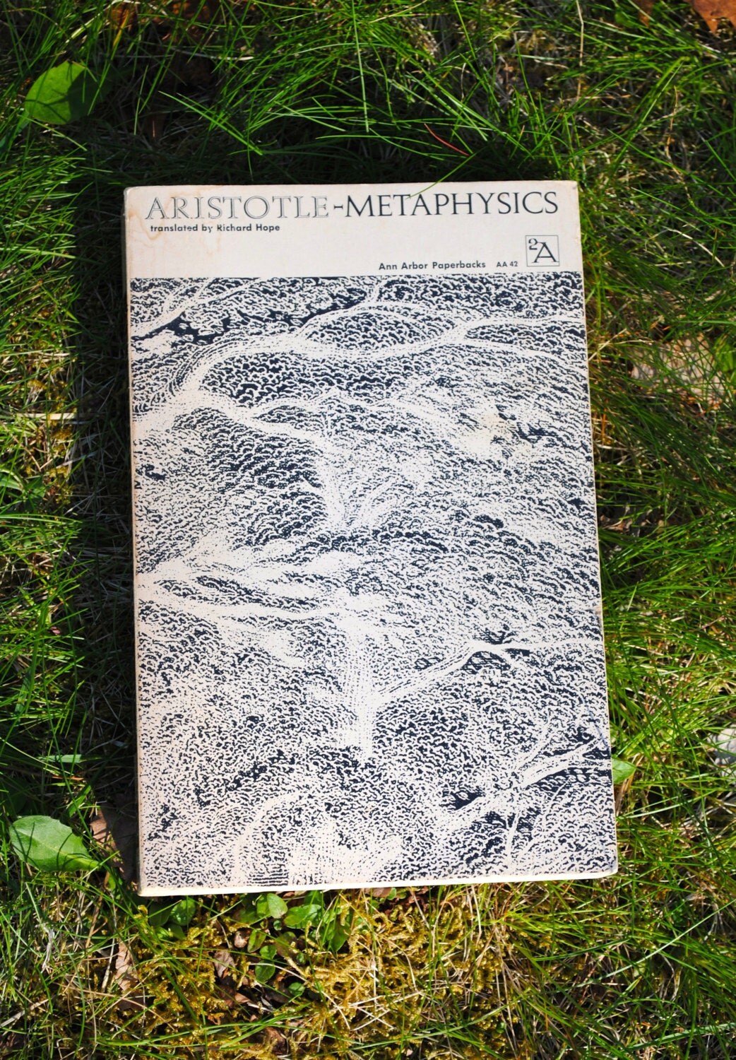 metaphysics book