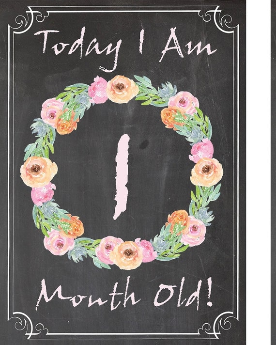 Thirty day period Through Thirty day period Image Prop Printable Weeks Kid Thirty day period Through image relating to Printable Baby Month Signs titled Thirty day period By way of Thirty day period Photograph Prop Printable Weeks Boy or girl Thirty day period By way of