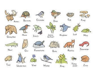 Illustrated Woodland Alphabet, Forest Animals Nursery Art Print
