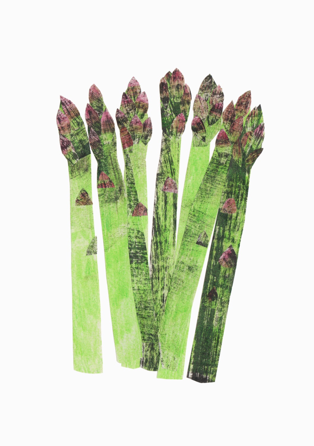 Asparagus art print Limited edition