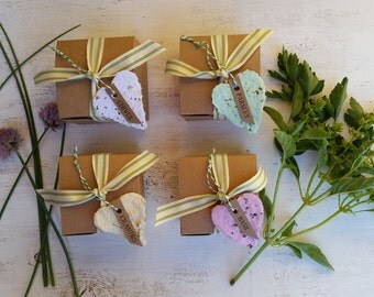 4 Herb gardening kits indoor herb garden kits organic seeds plantable paper hearts gift for gardeners herb diy kit seed paper seed kit