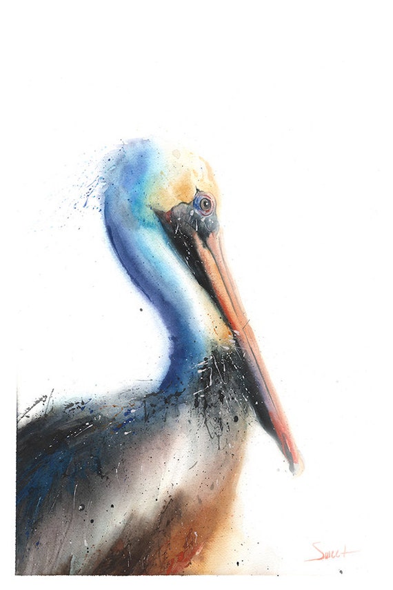 Pelican Art Print Watercolor Pelican Print Pelican