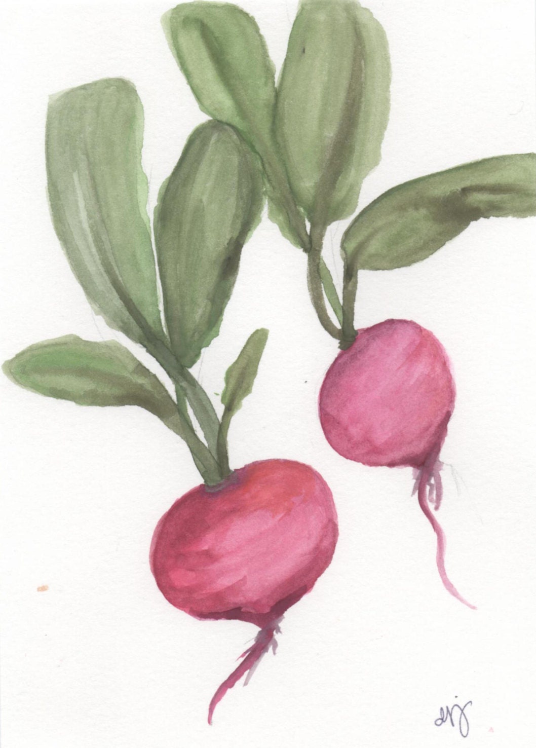 Original Watercolor Painting: Radish Pair