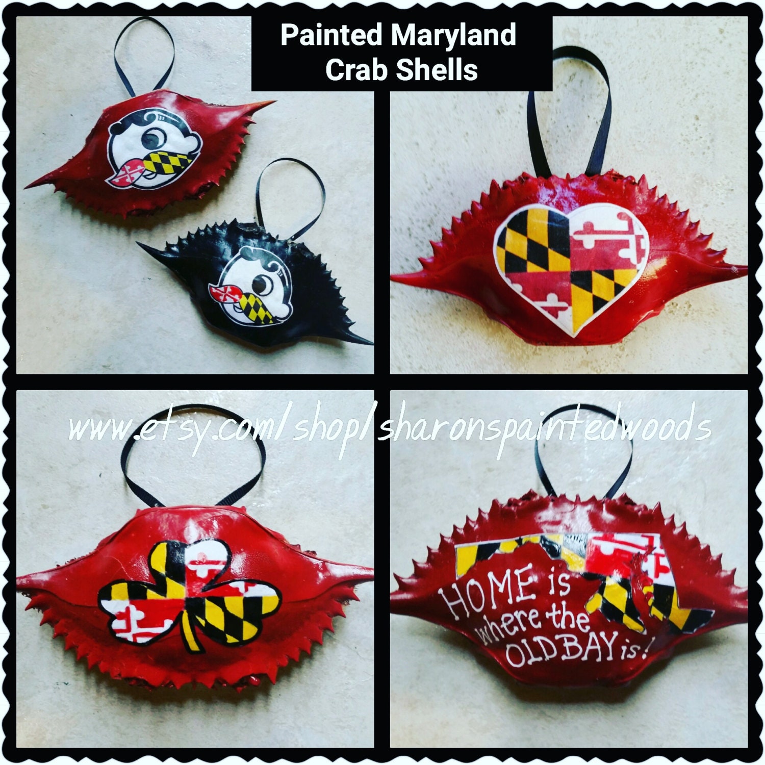Maryland Painted Crab Shells