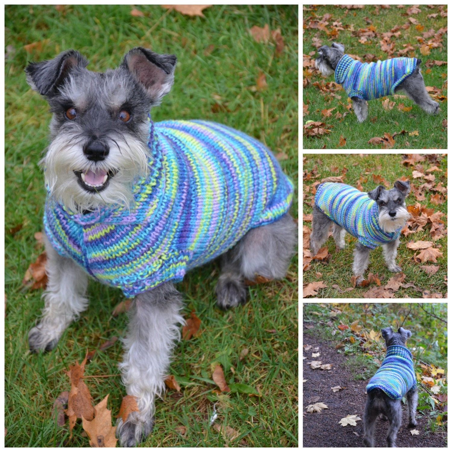 Dog Sweater Knitting Pattern