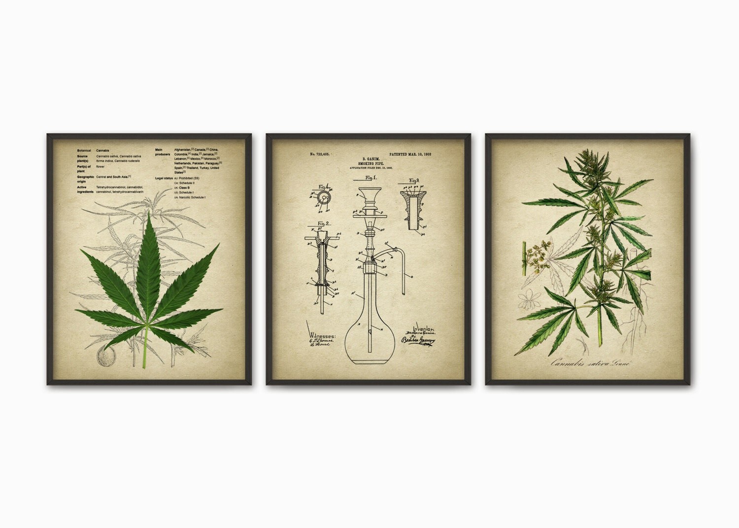 Cannabis Smoking Wall Art Print Set of 3 Marijuana Smoking