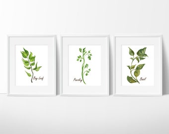 Watercolor Herbs Prints - Herbs Kitchen Decor - Botanical Print - Kitchen Art - Culinary Herb Print - Kitchen Decor - Instant Download 8x10