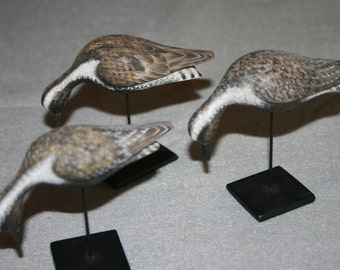 antique looking miniature golden Plovers.shorebirds