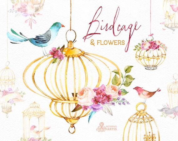 birdcage amp flowers watercolor floral clipart birds roses birdcage amp flowers watercolor floral clipart birds roses