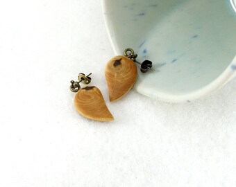 Little earrings, simple cypress wood drop