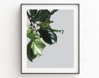 Botanical Wall Poster, Plant Wall Poster, Leaves Wall Poster, Leaves Wall Print, Modern Minimalist Poster, Large Poster Art, Green Print Art