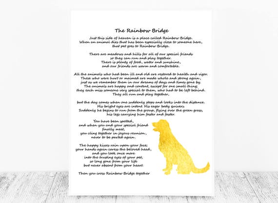 Download The Rainbow Bridge Poem Pet Bereavement