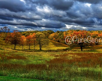 Autumn, Fall, Color Leaves, Seasons, Fall Colors, Harvest Time, Wall Art, Nature Photography, Prints, Home Decor, Fine Art, Digital Images