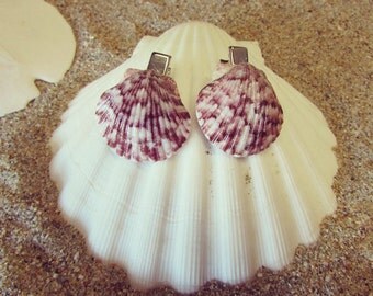 Pair Scallop Seashell Alligator Hair Clips