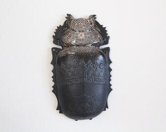 ceramic beetle, ceramic insect, ceramic wall art, sculptural object, wall sculpture, insect figurine, entomological art, art collection