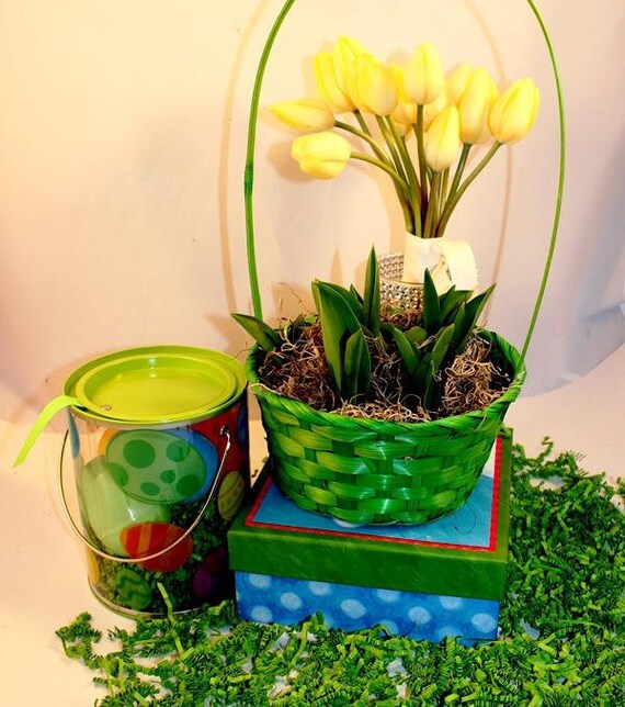 Prechilled Tulip Bulb Basket/ Green Wicker Basket with Handle/ Pre