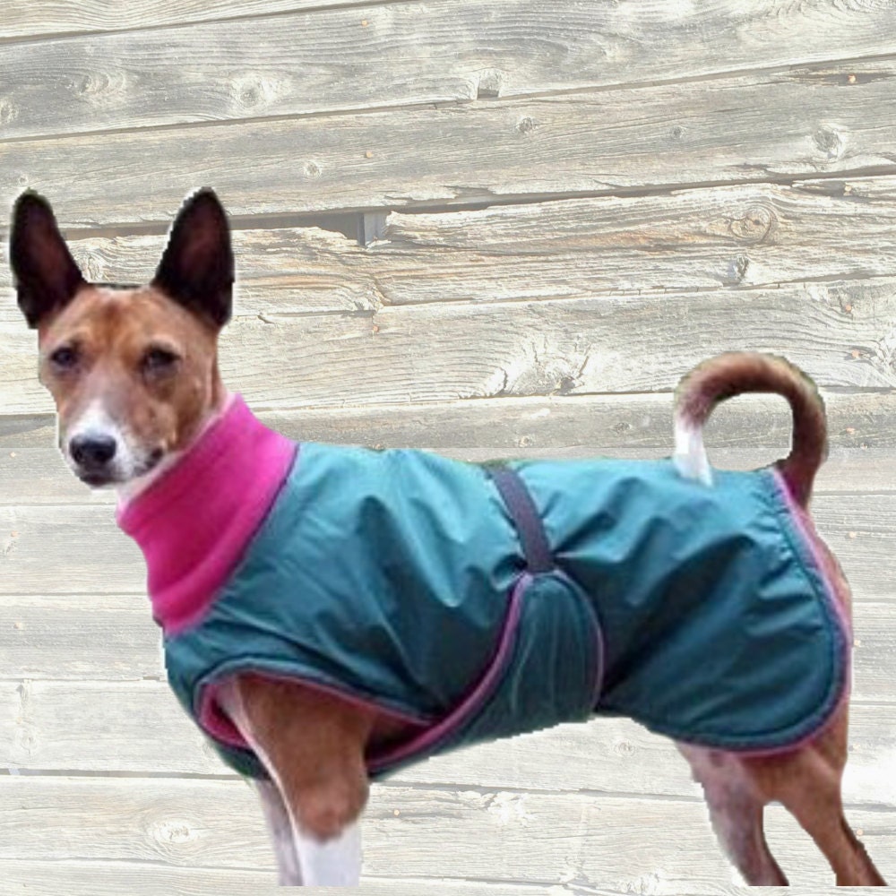 Winter Dog Coat custom made with tummy panel and fleece