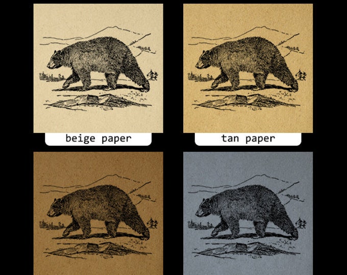 Digital Printable Black Bear Download Blackbear Graphic Image Antique Clip Art Jpg Png Eps HQ 300dpi No.3125